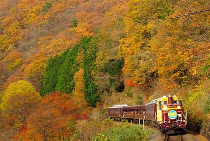 <新宿発・西船橋発> 紅葉のわたらせ渓谷鉄道・トロッコ列車 と 関東の耶馬渓と称される!錦秋の高津戸峡 ~風味抜群!やまと豚弁当の昼食付き~
