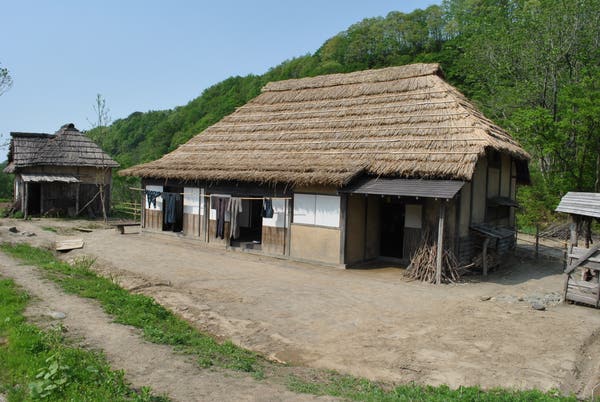 【米沢・高畠・南陽・山形市内発】“黄緑色の宝石”　シャインマスカット狩り　食べ放題！と 本格ナポリピッツァ＆庄内オープンセット（日帰り）3