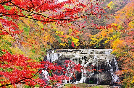 【岡山発着】スパリゾートハワイアンズと日本が誇る名門ホテルに泊まる はじめての茨城県・常陸の国と南房総10景3日間3