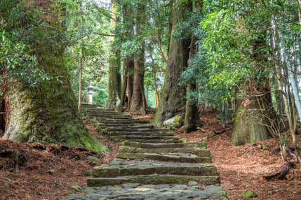 <ハイキング中級>『熊野古道・伊勢路 随一の美しさを誇る石畳と尾鷲ヒノキ林が広がる「馬越峠」ハイキング』【近鉄名古屋出発】