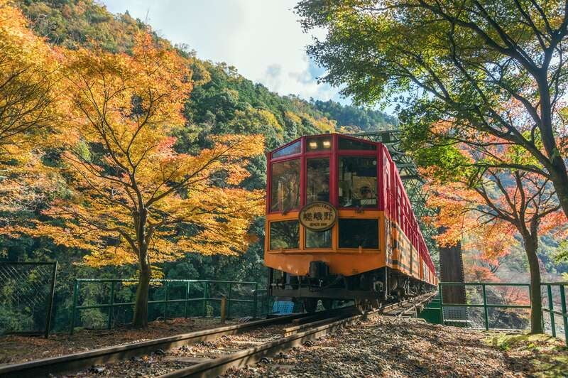 【旭川空港発】 ＜大浴場付ホテル宿泊＞錦秋の嵯峨野トロッコと古都京都～もみじ１２景～（３日間）1