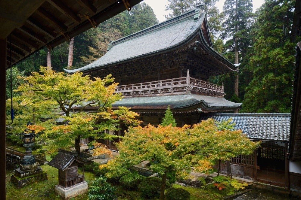 【富山県内発着】紅葉の九頭竜湖ドライブと永平寺2