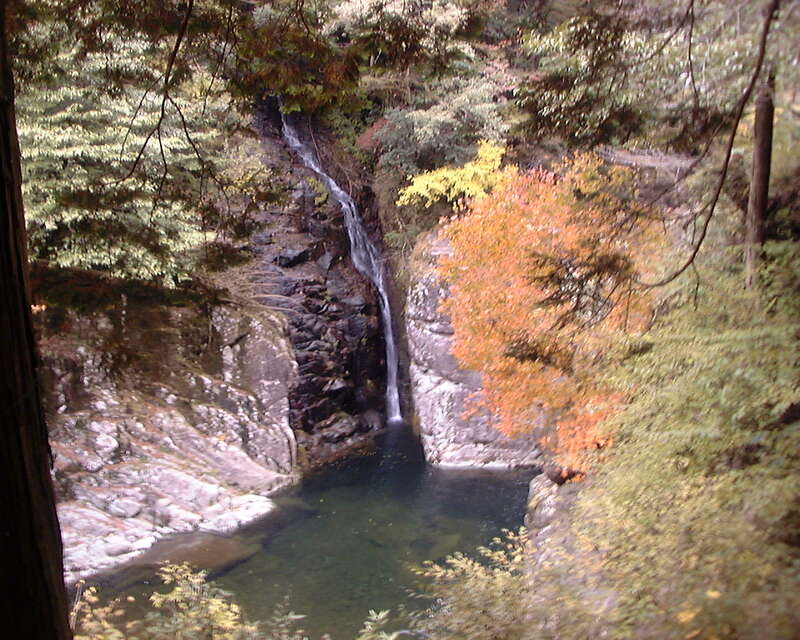 【出雲・斐川・松江発】読売貸切「吉水園」特別公開と三段峡・筒賀の大銀杏　日帰り3