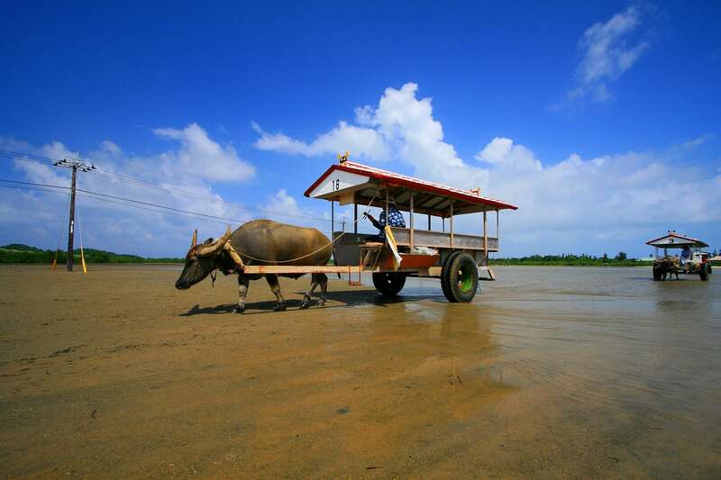 【岩国空港発】 南国の楽園！八重山4島めぐり～石垣島・由布島・竹富島・西表島～1