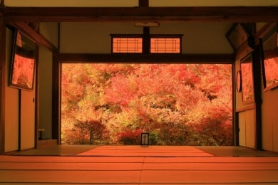 丹波・紅葉の古刹と但馬安国寺ドウダンツツジ2日間～湯村温泉 朝野家宿泊～香住カニと但馬牛すきやき会席のご夕食～1