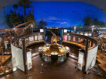 中部発　日帰り　巨大生物のロマンと恐竜愛　大迫力の福井県立恐竜博物館とそば打ち体験＜JAMJAM TOUR＞ 