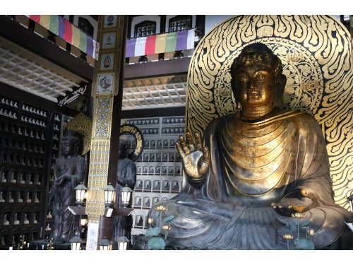 【名古屋発】一面の苔が神秘的！平泉寺白山神社＆日本一高い坐像！越前大仏＆古民家レストランで九頭竜まいたけ丼御膳2