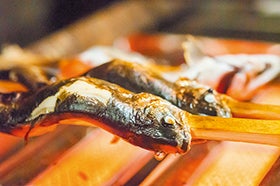 姫路　龍野　発
みたき園山菜料理と森の学校ではちみつ採集体験2