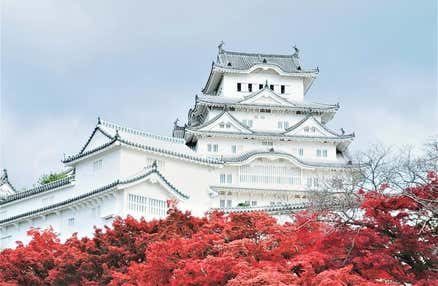 [なんば発]昼食天ぷら豪華セット♪世界遺産「姫路城」と数々の文豪や著名人に親しまれた有馬温泉＆日本でも有数の眺望スポットの六甲山散策日帰りバスツアー(英語ガイド付)