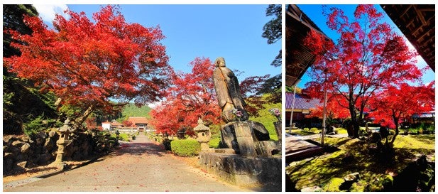 【広島駅新幹線口／日帰り】お寺で精進料理≪島根・龍雲寺≫吉水園秋の一般公開 ～紅葉の名所・龍雲寺と吉水園～2