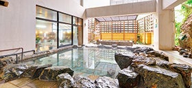 神戸空港　発
北関東春の花競演と世界遺産日光東照宮3