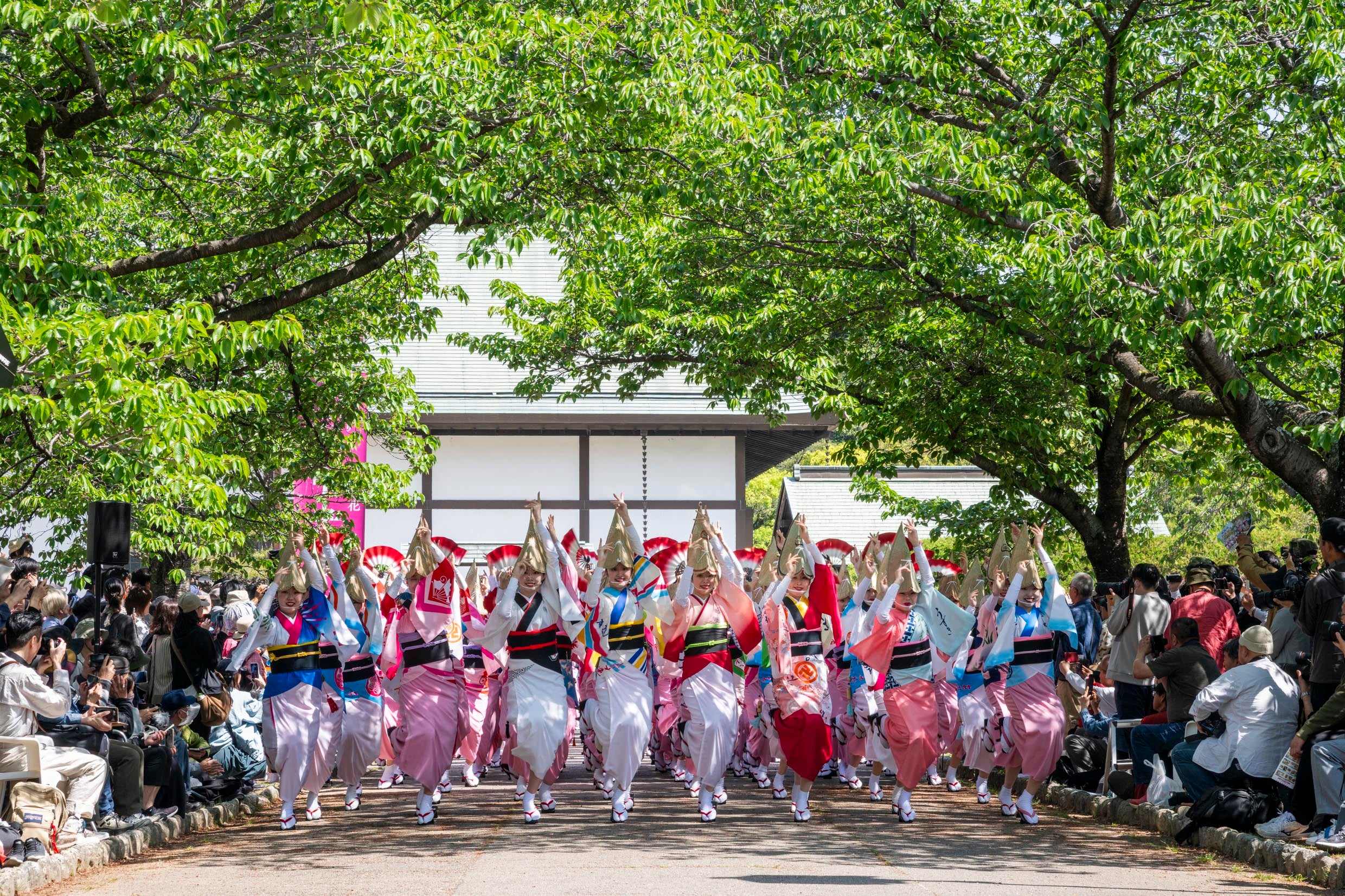 夏だけではなく、春も阿波おどり！ 徳島城阿波おどり2026と大塚国際美術館（たっぷり3時間！） （宿泊付きプラン）1