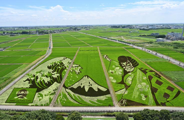 【早割30】[新宿/池袋発]大人も子どもも夢中に♪ 世界最大級！『田んぼアート』鑑賞＆伝統のモノづくり体験と極上・タラバガニ御膳で夏休みを満喫！日帰り自由研究ツアー1