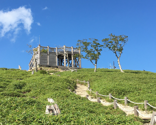 近畿の屋根を歩こう！大台ケ原ハイキング【藤井寺・富田林・河内長野・三日市発】2