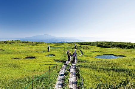 【往復新幹線/ルートイン新庄駅前1名様1室】月山・弥陀ヶ原湿原 鳥海山 日本一の紅葉・栗駒山「神の絨毯」3日間　当社通常ツアーでは訪れない！日本一の紅葉といわれる栗駒山・神の絨毯へ！3