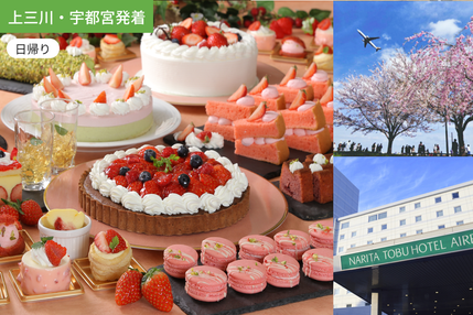 【上三川・宇都宮発着】成田映えフルコース　ストロベリービュッフェとさくらと飛行機【昼食ビュッフェ付】/ WEB割引5%引き