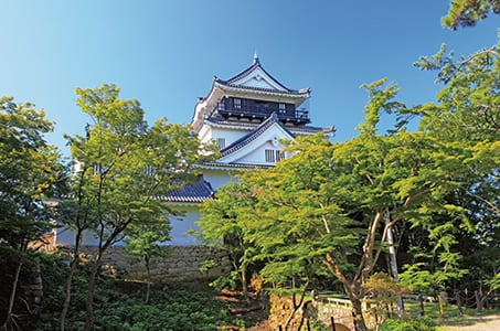 【長野】秋の香嵐渓と大井川鐡道・富士山を愛でる東海3つの名城と久能山東照宮夜間特別拝観3日間　往復特急と新幹線利用でワイドにめぐる!!3