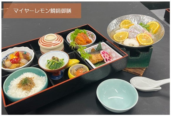 【広島駅新幹線口発着／日帰り】上関城山歴史公園の河津桜と 旬のいちご狩り食べ放題 マイヤーレモン鯛鍋御膳のご昼食3