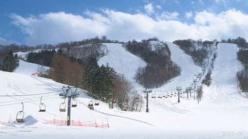 【新宿朝発】ぶっとび！日帰りスキー＆スノボ｜北志賀小丸山スキー場（リフト券付）