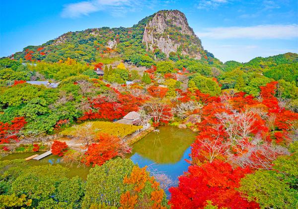 寿福寺の逆さ紅葉一般公開と香蘭社 古陶磁陳列館と御船山楽園紅葉まつり2