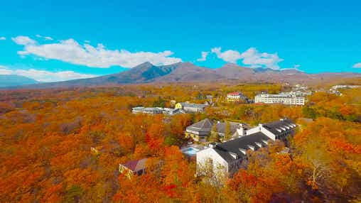 【東京駅・上野駅・大宮駅発】 JRで行く紅葉狩り!1泊4食付でうれしい♪白濁の硫黄泉 温泉ミステリーツアー 2日間
