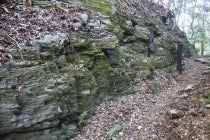 【西尾・岡崎発】＊日帰り軽食弁当付＊Ｌｅｔ’ｓハイキング！『≪ハイキングツアー≫ 熊野古道女鬼峠を歩こう』3