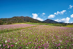 1日限定！　蒜山ウォークフェスティバル1
