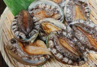 【大分・かんたん・北浜・別府発】 踊る♪活あわびお一人様１個付き！カニ足・帆立・サザエを含む海鮮＆焼肉食べ放題と福岡よか魅力発見の旅