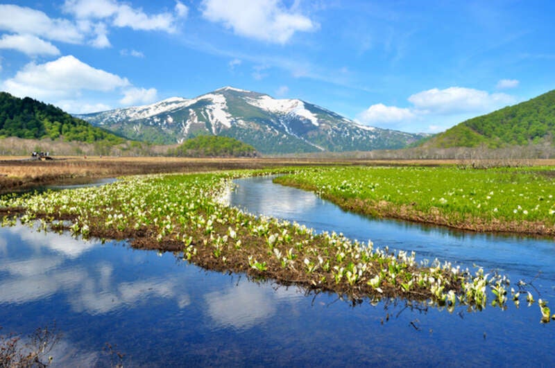 【鳥取空港発】 尾瀬ヶ原 ハイキング３日間＊1