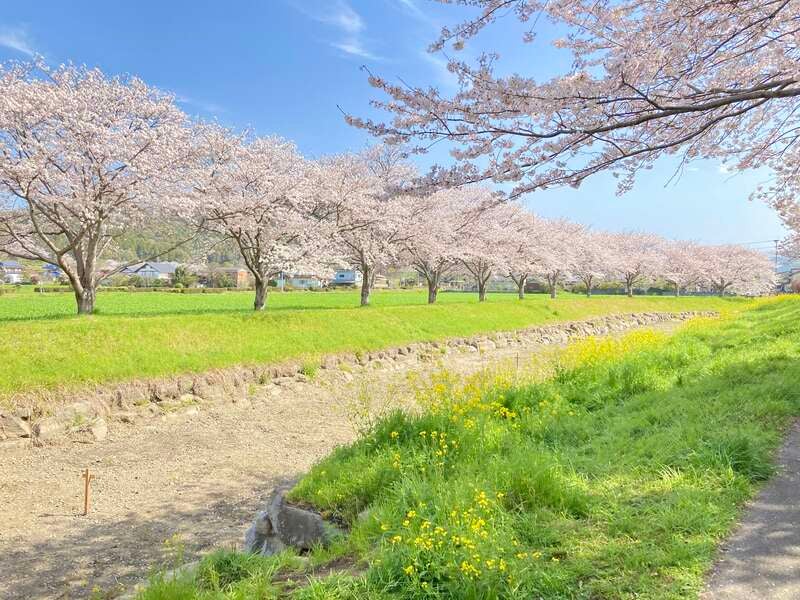 【博多発】 【よかバス助成金適用】久留米・朝倉 食と花とみずの物語＆庭師ガイド付き庭園めぐりモニターツアー 　日帰り1