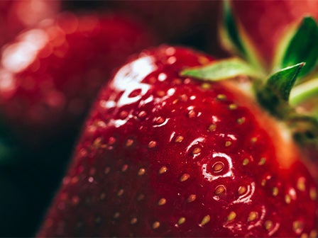 中部発　日帰り　小泉八雲が愛した焼津観光　添乗員イチオシ“ジャパンベリーいちご狩り”と温玉付きのひつまぶし“うなばけ”のご昼食！2