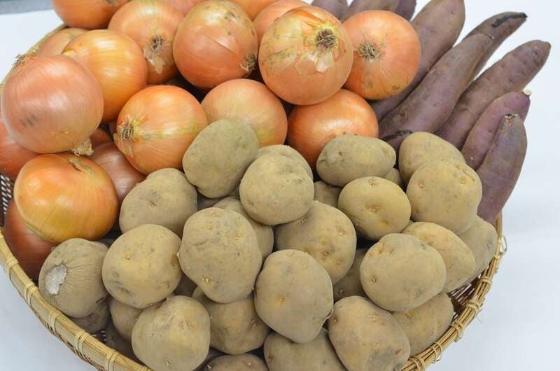 【福島・二本松・本宮発】 毎年恒例の読売旅行創業記念謝恩企画！大創業祭ミステリー（日帰り）2