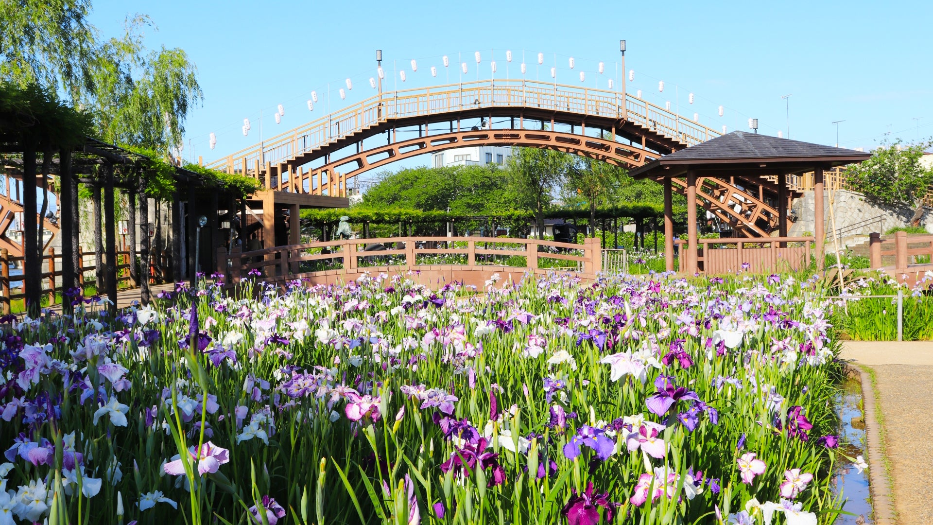 【西船橋発】潮来あやめまつりと新勝寺　水郷潮来あやめまつりと成田山新勝寺参拝・名店「川豊」で名物国産うな重の昼食1
