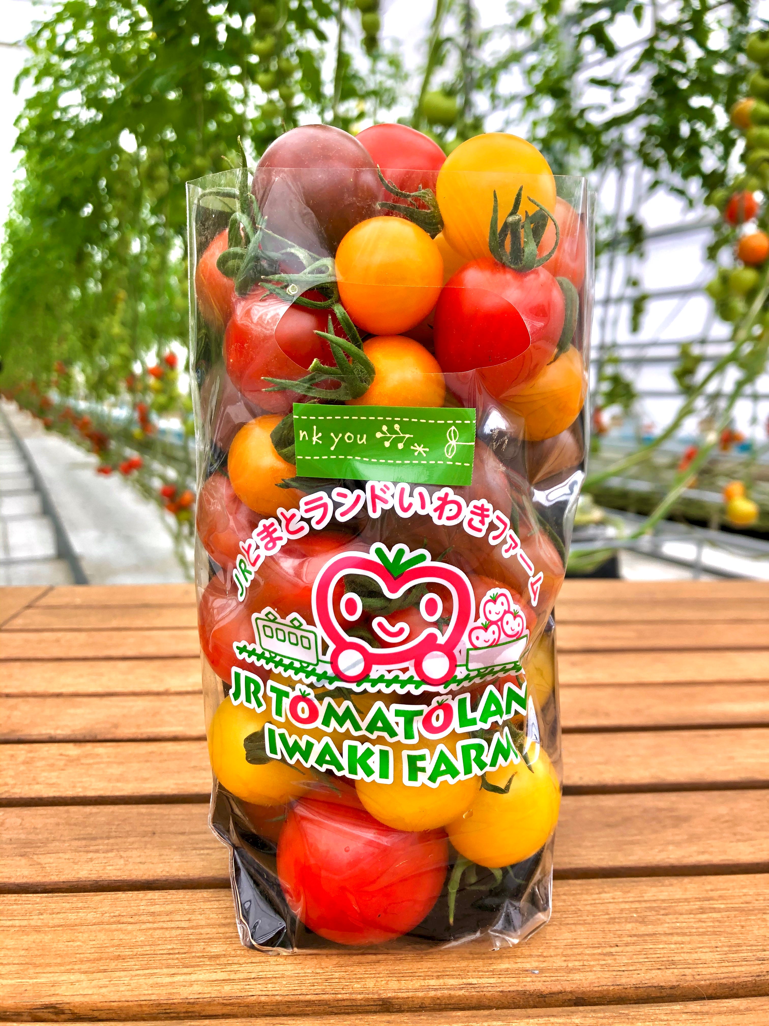 【石巻・仙台発】旅のすごろく市6月　トマト尽くし！トマトコースランチトマト狩りとあぶくまラベンダー（日帰り）3