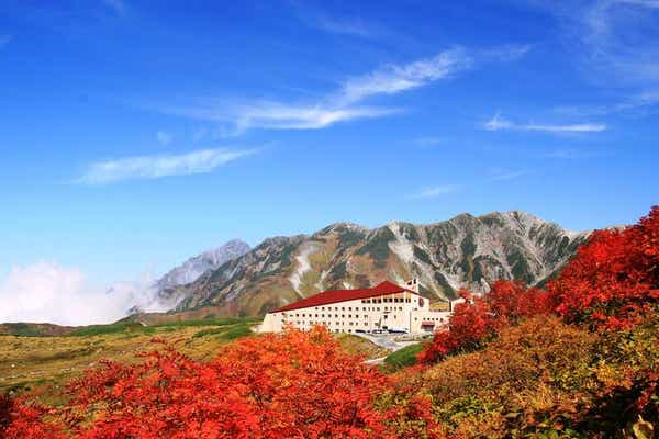 【八日市・彦根・米原・長浜発】 立山黒部アルペンルート横断　２日間1