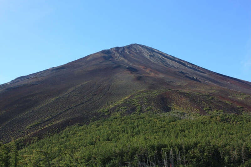 【栃木県内発】 甲州２大フルーツ食べ放題！巨峰狩り・桃食べ放題と富士スバルライン絶景ドライブ！2