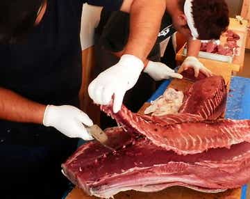 【千葉県内発】 横浜三渓園の紅葉&農産物直売所「すかなごっそ」 三崎「まぐろ解体ショー」とまぐろ刺身食べ放題