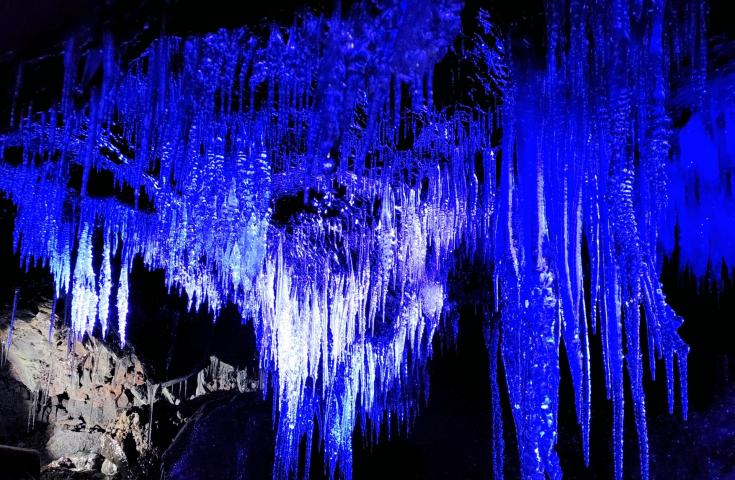 [上野/新宿発]富士山人気撮影スポット＆富士山の洞窟 天然記念物「鳴沢氷穴or富岳風穴」！河口湖＆山中湖から絶景富士鑑賞!大満喫日帰りバスツアー！(英語語ガイド付)1