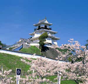 【兵庫エリア発】 花薫る富嶽の感動!富士山眺望春めぐり2日間