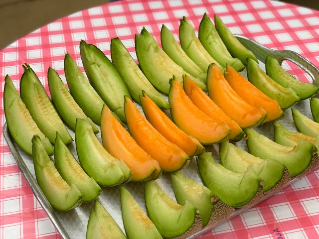 【千葉県内発】 めろめろメロン記念日in鉾田 日帰り1