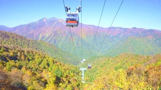 ＜Web割対象商品＞【キングツアーバス旅】秋色に染まる群馬！パノラマ絶景「谷川岳ヨッホ」空中散歩と利根川の清流が織りなす渓谷「諏訪峡」さんぽ〔調布発〕1