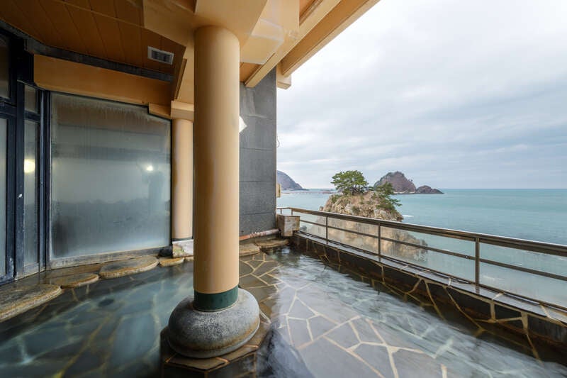 【栃木県内発】 日本海を望む！「5つ星の宿」 由良温泉 ホテル八乙女 ゆったり17時間滞在　幻想的な世界一のくらげ水族館「加茂水族館」 12年に一度の午年御縁年に行く！羽黒山２日間2