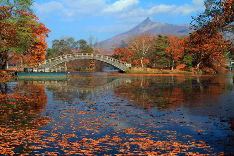 【岩国空港発】 秋の北海道　名湯＆名旅館の旅　登別温泉・湯の川温泉・定山渓温泉４日間　函館・有珠山ロープウェイ・大沼公園遊覧船・豊平峡ダム2