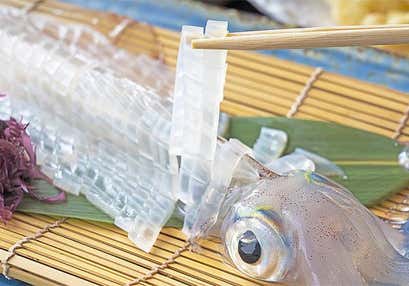 ぐるっと東松浦半島三社詣りと伊都菜彩と本場呼子の活イカ料理