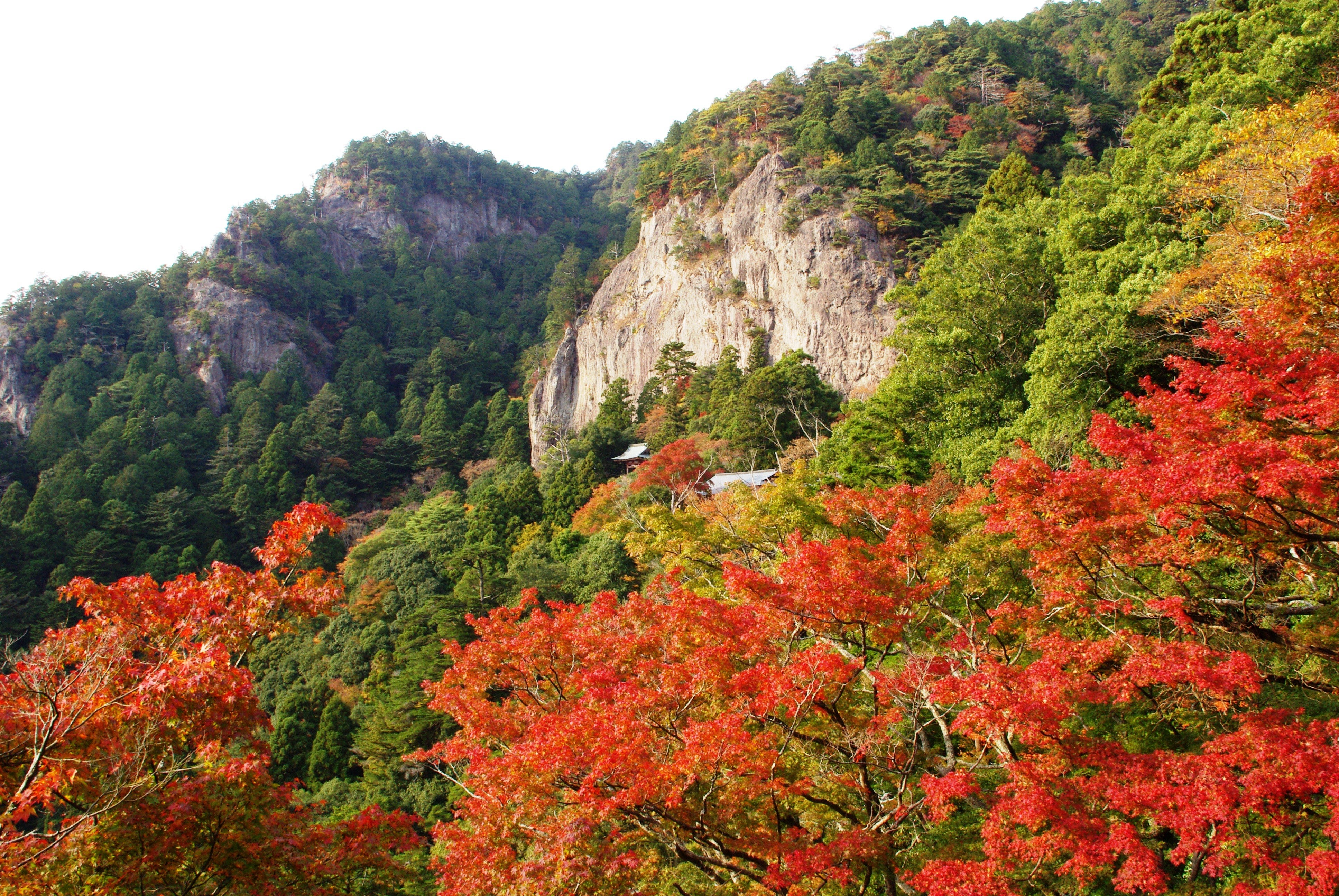 【静岡県内発】 【静岡中部】72年ぶり！日本三大稲荷 豊川稲荷 御開帳と紅葉の鳳来寺山2