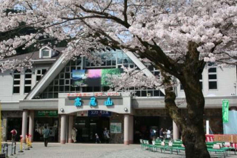 【高崎・本庄・籠原・熊谷・上尾・大宮駅発】 よみうり貸切列車で行く！春の高尾山ハイキング　～混雑を避けてらくらくＪＲ高尾まで直行列車♪～　日帰り2