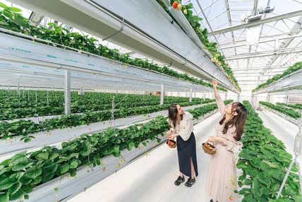 【防府・新山口発】大人のときめきバレンタインミステリーツアー 日帰り