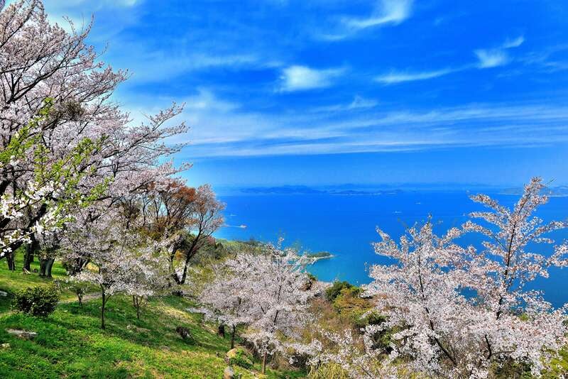 【岡山・倉敷発】 ～さぬき桜めぐり～大型バスでは行けない！紫雲出山の桜と琴弾公園　日帰り1