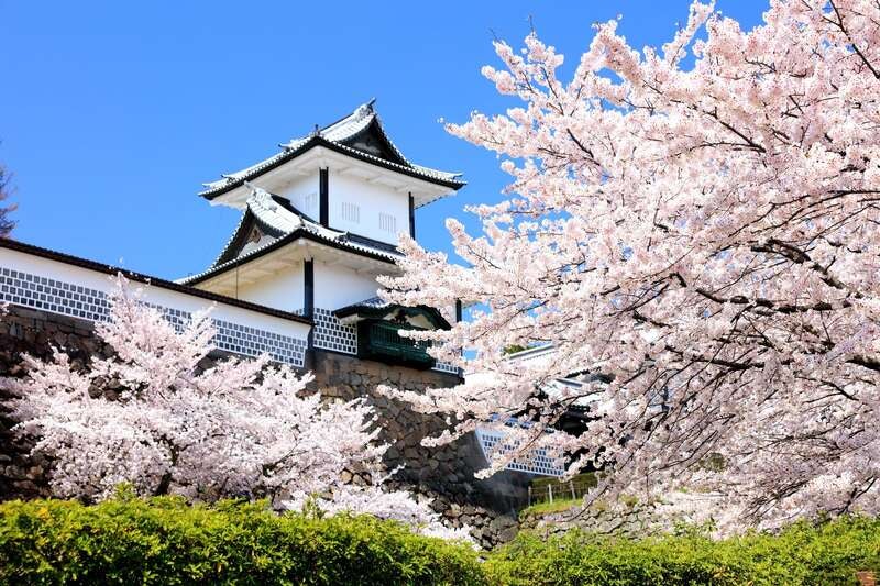 【ＪＲ和歌山駅発】 春爛漫　５つの桜名所でつなぐ越前・加賀の旅2日間3