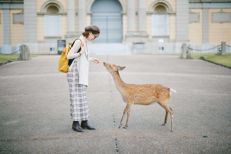 【ＪＲ大阪駅・地下ホーム（新駅・うめきたエリア）発】 【個人プラン】往路特急「まほろば号」利用！　奈良 謎解き寺巡り　日帰り2